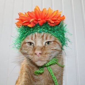 HAND CRAFTED Flower Child Cat Hat Crochet Hairy Wig Costume Photo Pr…